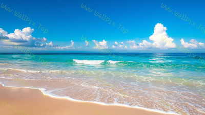 Serene Coast